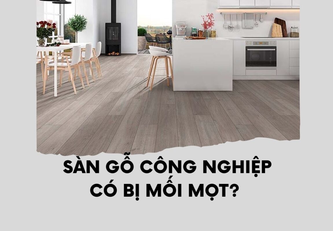 Sàn gỗ công nghiệp có bị mối mọt không? Nguyên nhân và giải pháp 