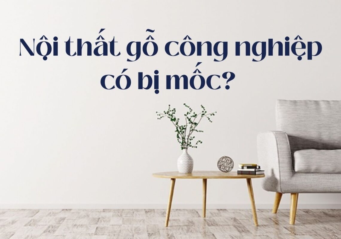 Nội thất bằng gỗ công nghiệp có bị mốc không? Cách xử lý nấm mốc 